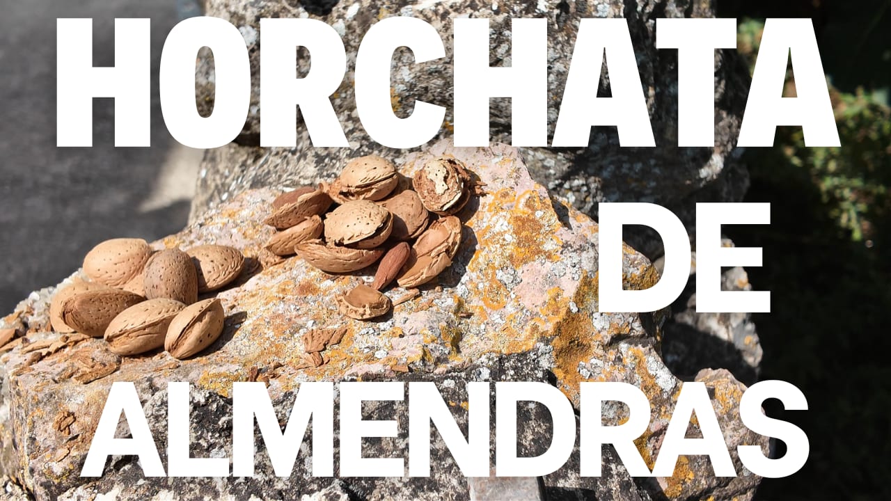 Horchata de almendras casera: receta fácil y refrescante